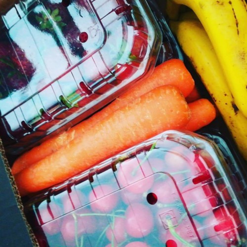 36324358_1127890630684030_7082493627649228800_n.jp