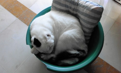 20170721_085725.jpg 20170721_085725.jpg