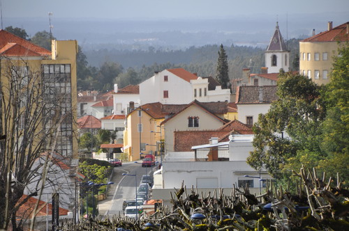 DSC_0016.JPG DSC_0016.JPG