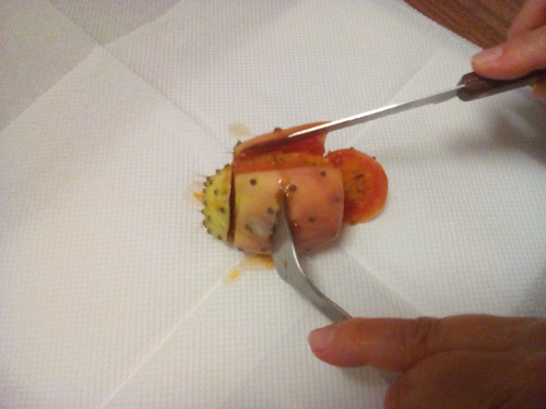 Figo: separação da casca. Original DAPL. 2016.jpg