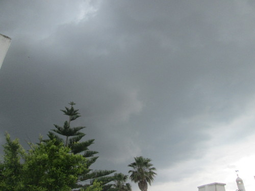 IMG_5783.JPG IMG_5783.JPG