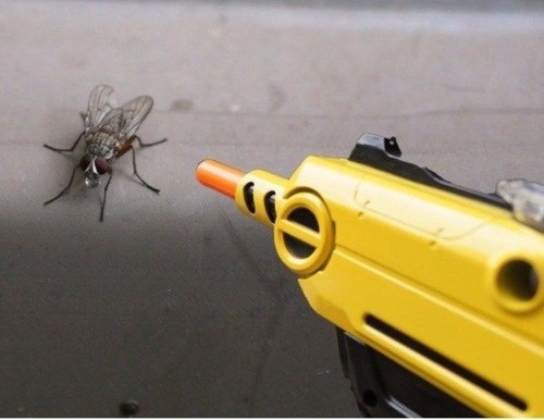 fly-shooter fly-shooter