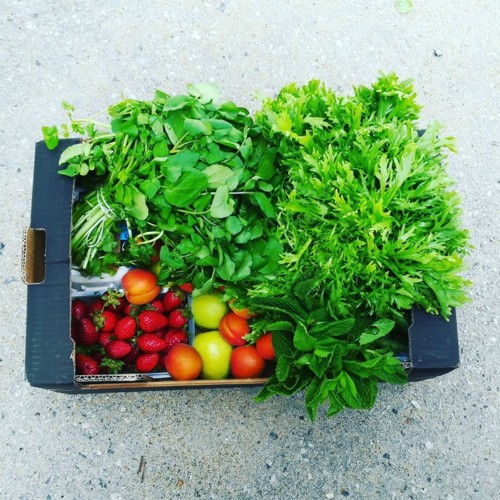 33871859_1104106756395751_4398743927893524480_n.jp