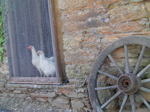 Padroes 11.JPG Padroes 11.JPG