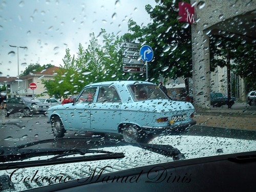 DSC_8563.jpg