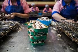 matosinhos conservas 1.jpg