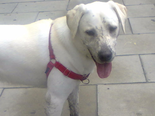 Brincar na lama3.jpg.jpg.jpg