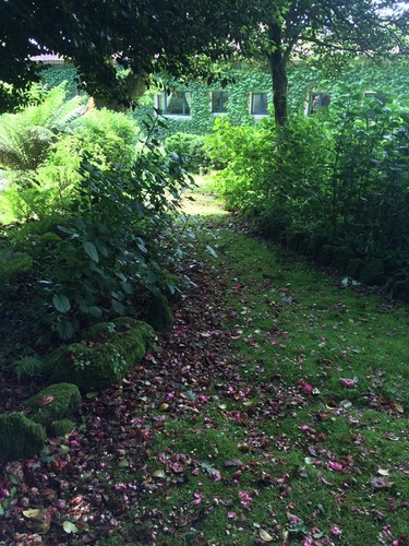 10422919_10202690877113237_3665166479704270572_n.j 10422919_10202690877113237_3665166479704270572_n.j