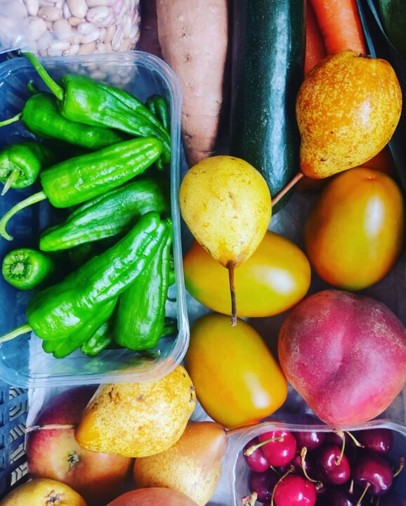 505473290_18483831022066958_1138347171344532984_n.