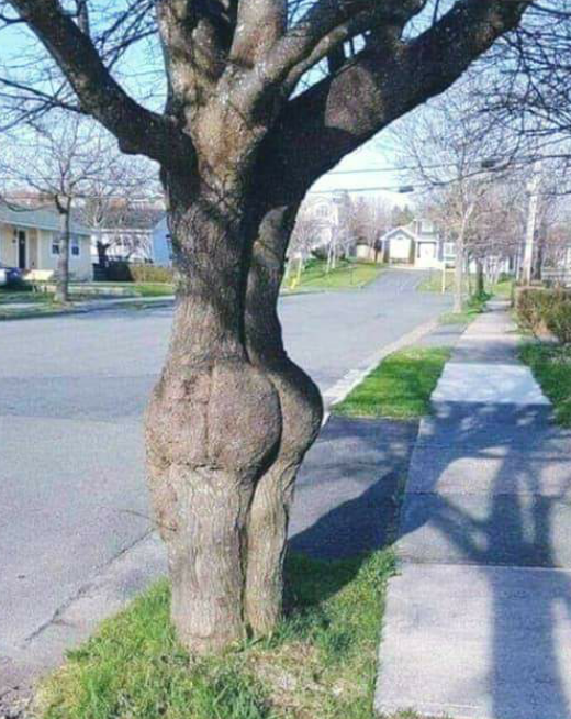 2019-03-31 10.26.30.png