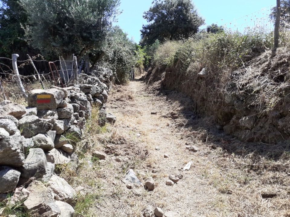 Azinhaga acima da Arca da Fonte. Foto original. 2021.07.09.jpg