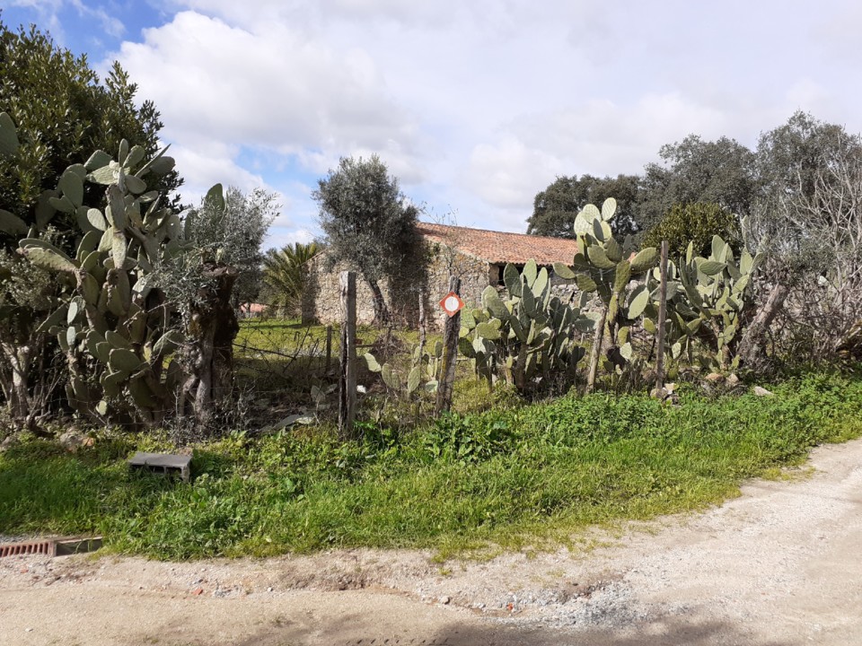 Entroncamento de Azinhagas. Foto original. 2021.02.21.jpg