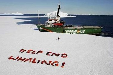 sos-baleines-greenpeace-reuters2006.jpg.crdownload