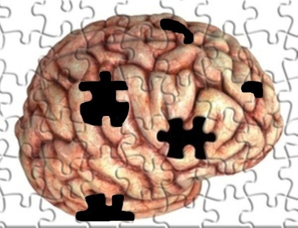 PuzzleCerebro.jpg PuzzleCerebro.jpg