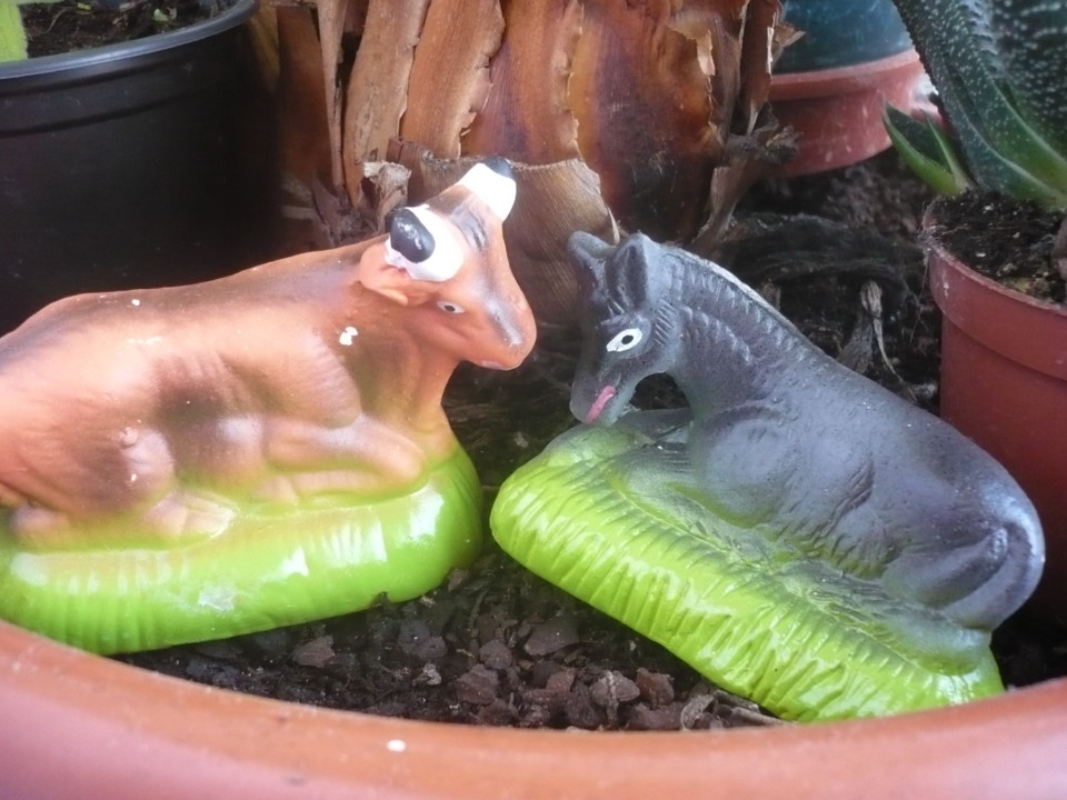 Figuras presépiais.JPG