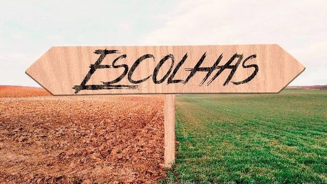 37817145_1745760712205893_3284283958501572608_o.jp