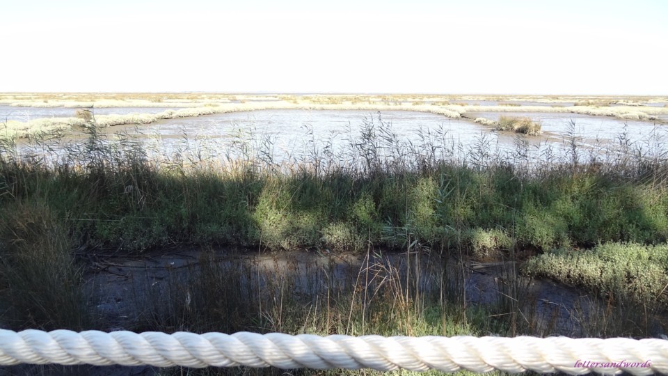 DSC07931.JPG DSC07931.JPG