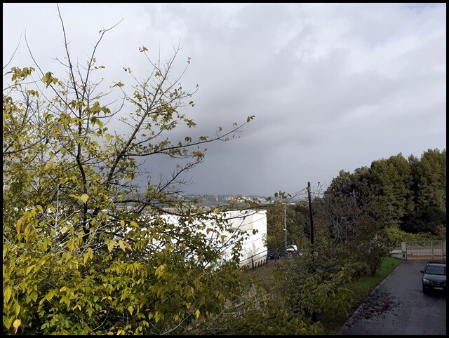 20a_Paisagens (6).jpg