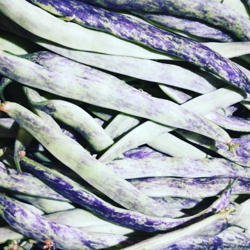 36916326_1139017286238031_4486630525116612608_n.jp