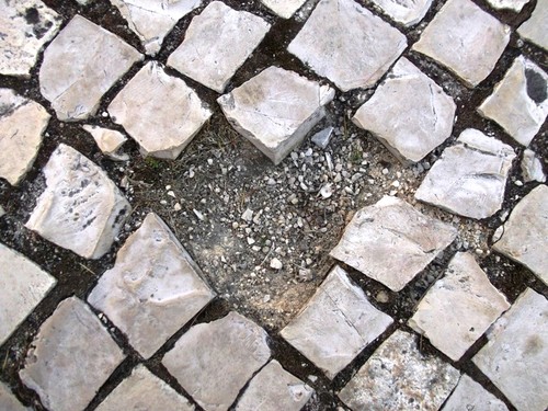 31. Daniela Barreira.JPG