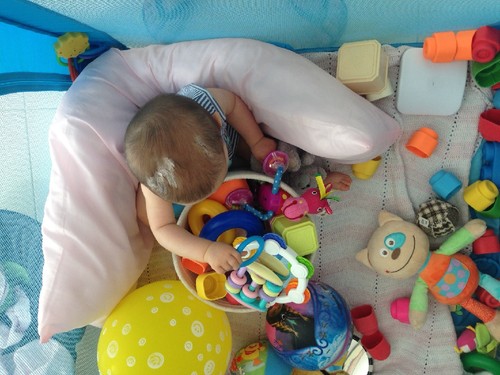 IMG_3639.JPG IMG_3639.JPG