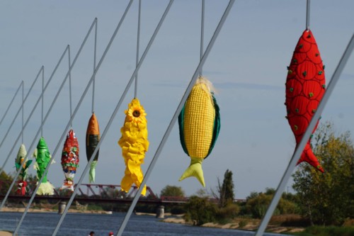 22181225_10156707197713696_2822217398572399905_o (