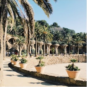 IMG_7410 (1).JPG IMG_7410 (1).JPG