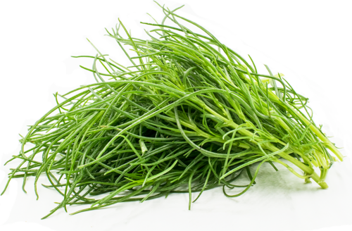 agretti.png