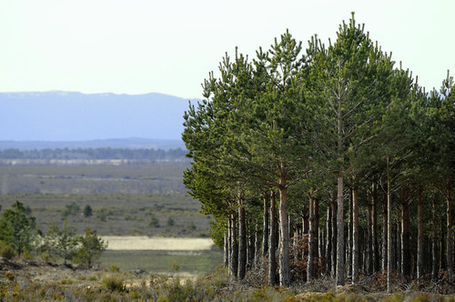 mw-860.jpg mw-860.jpg