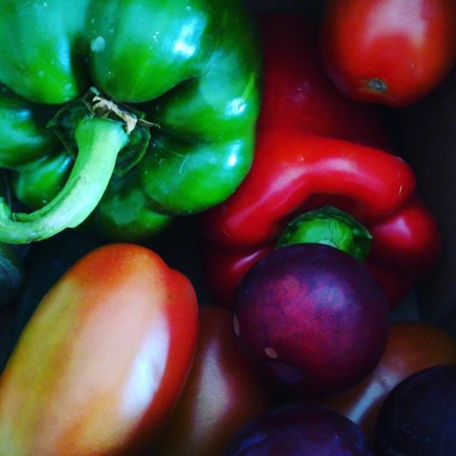 36294292_1126820920791001_3169399381539422208_n.jp