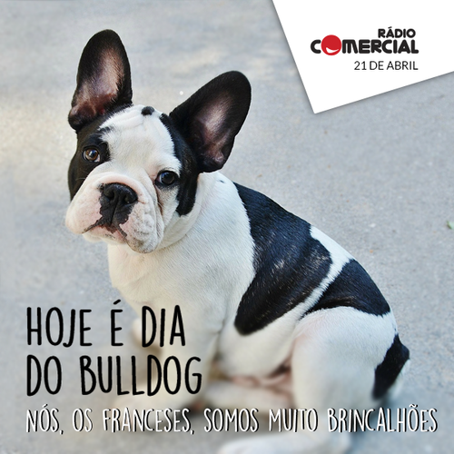 bulldog dia.png bulldog dia.png