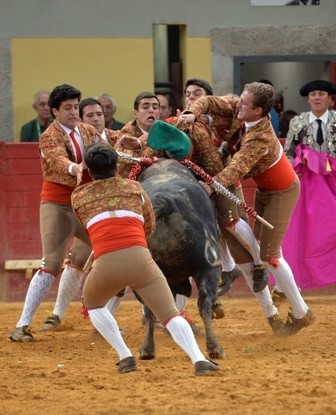 Pega de Diniz Caeiro - 29.06.2018.JPG