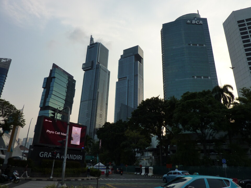 P1120423.JPG