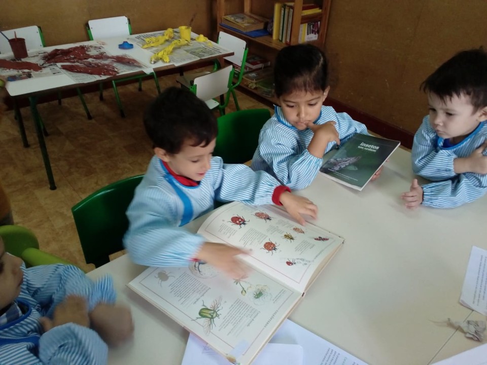 73126388_1188287521379582_3596845607852965888_n.jp