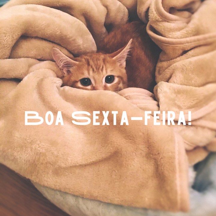 Boa Sexta-feira!.png