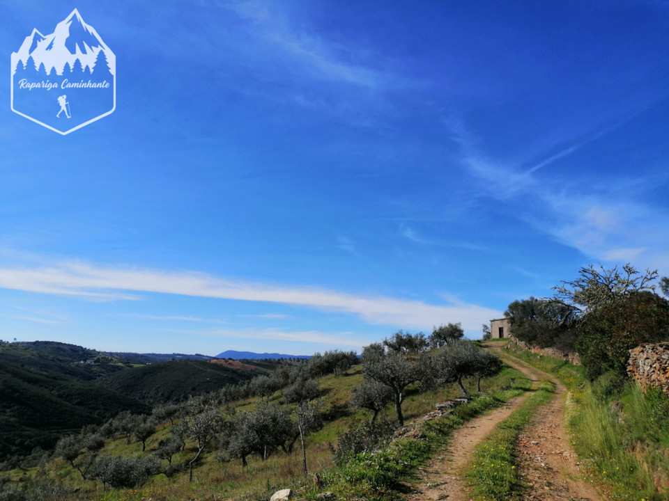 Photo_1584188203383.jpg Photo_1584188203383.jpg