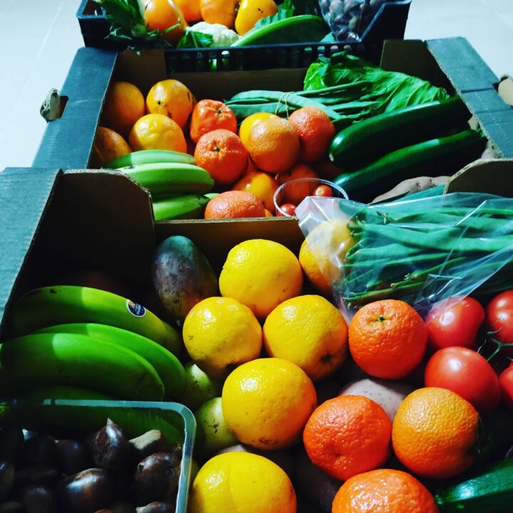 317862275_2484582815014798_3325837463370559593_n.j