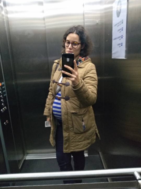 IMG_20191113_124535.jpg IMG_20191113_124535.jpg