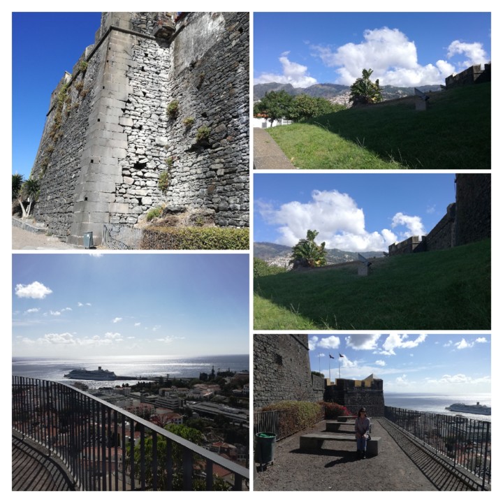 IMG_20191020_121913-COLLAGE.jpg IMG_20191020_121913-COLLAGE.jpg