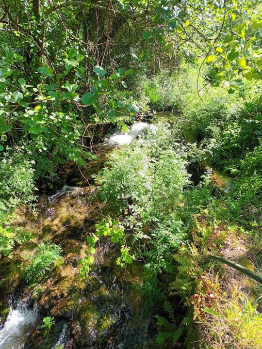 Não me canso disto trail6.jpg