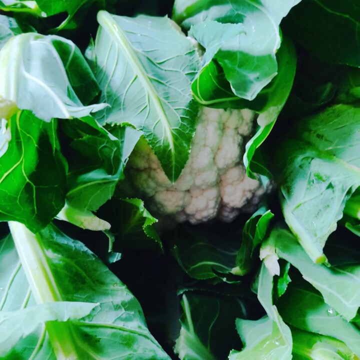 589254378_18515793973066958_3983259854854208322_n.