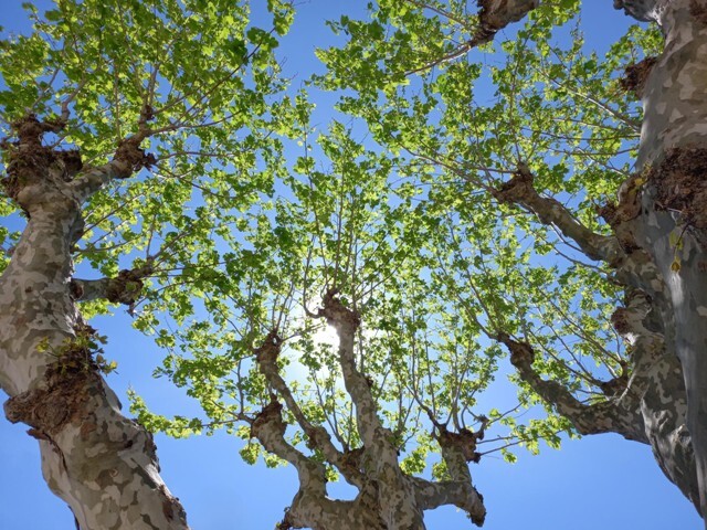 434588082_7341828802599028_6453315033917848412_n.j