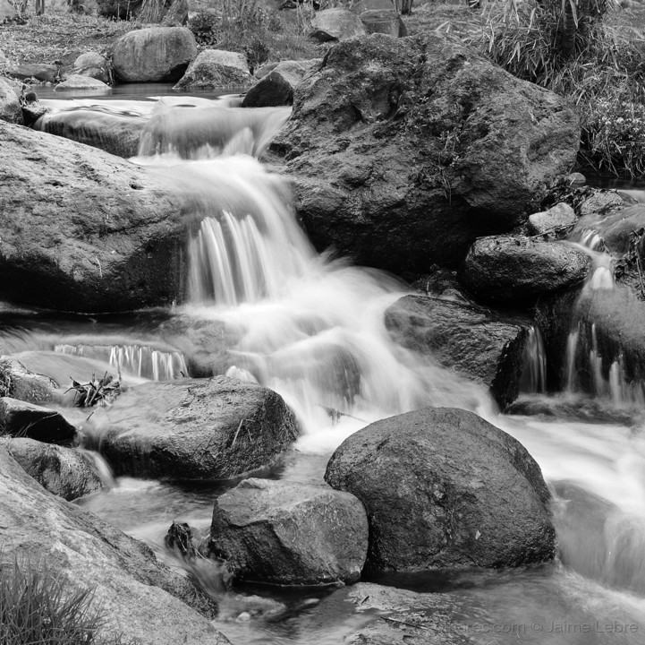 Gostava de ser pedra I.jpg