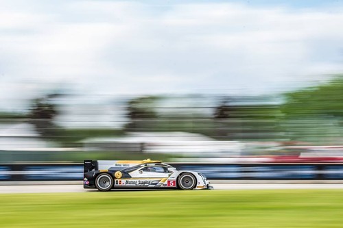 18920693_1540344969370428_1165219247275099924_n.jp 18920693_1540344969370428_1165219247275099924_n.jp