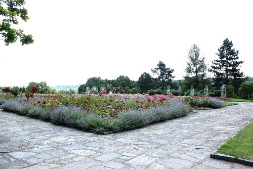 IMG_2201 Lidice
