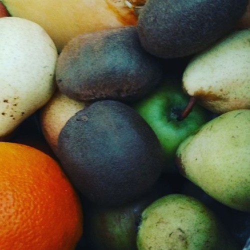 24296065_1523279757756690_1108372214027124736_n.jp