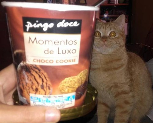 13173940_1300182906676286_4064799847441207745_n.jp