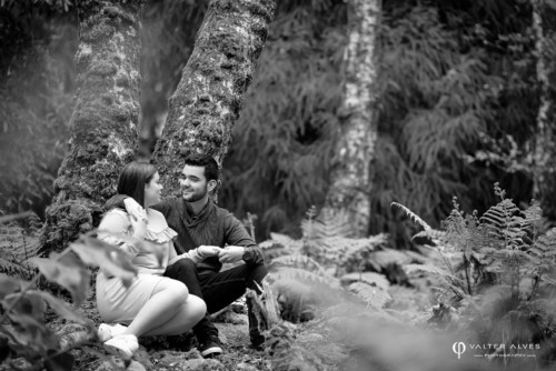 COPYRIGHT VALTER ALVES PHOTOGRAPHY