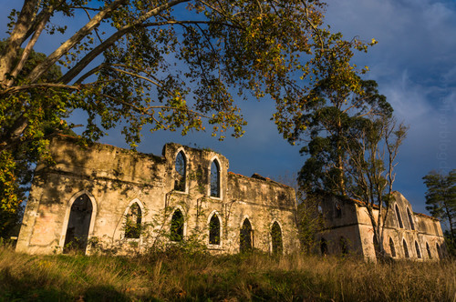 DSC08881.jpg DSC08881.jpg