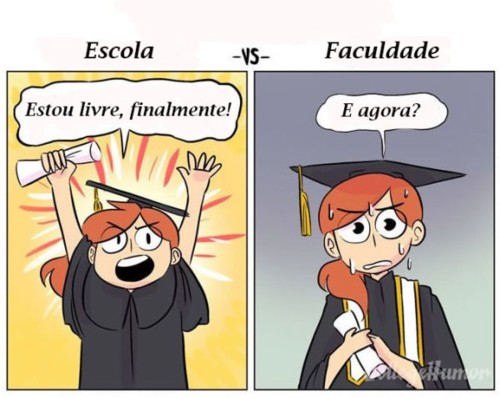 universidade.jpg